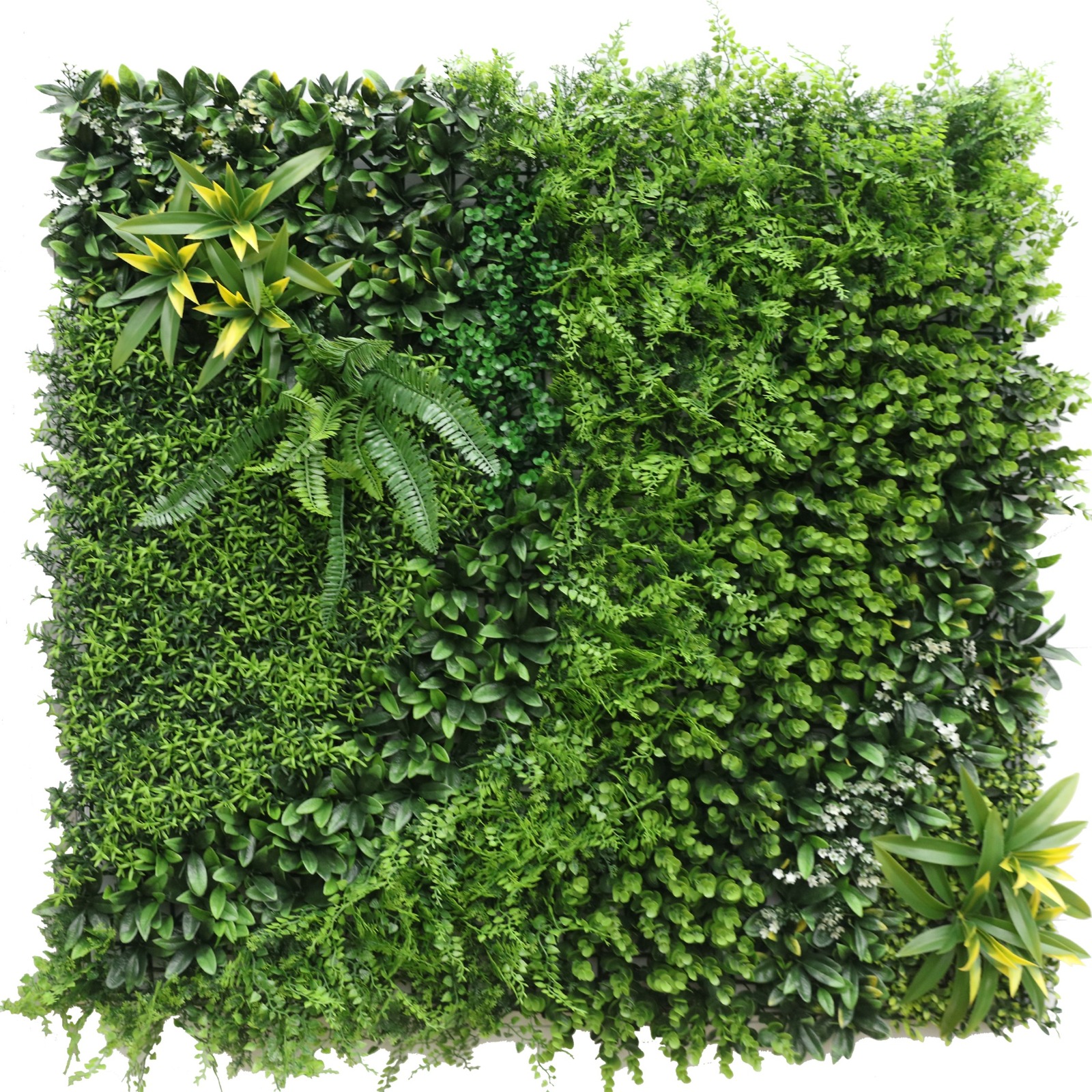 Wall Grass - BEAUTY SECRET (1mtr × 1mtr, 10.764sft)